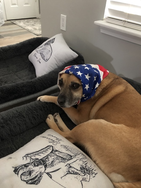 Entry image for Kona. Clicking this image will show a larger photo