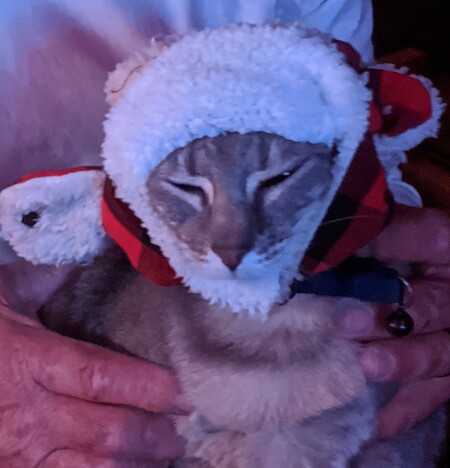 Entry image for Duval Griffin. Clicking this image will show a larger photo