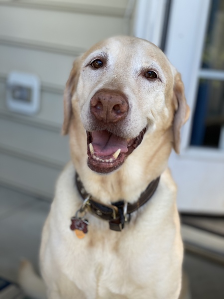 Entry image for Colt. Clicking this image will show a larger photo