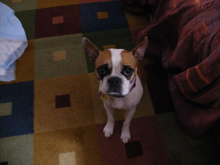 Entry image for Clara. Clicking this image will show a larger photo