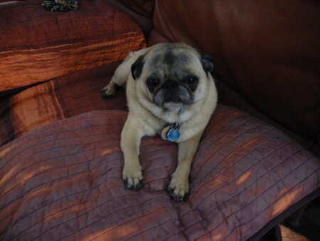 Entry image for Summer. Clicking this image will show a larger photo