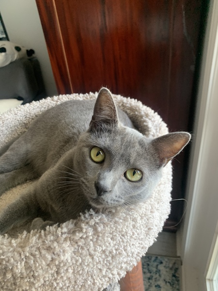 Entry image for JoAnne . Clicking this image will show a larger photo