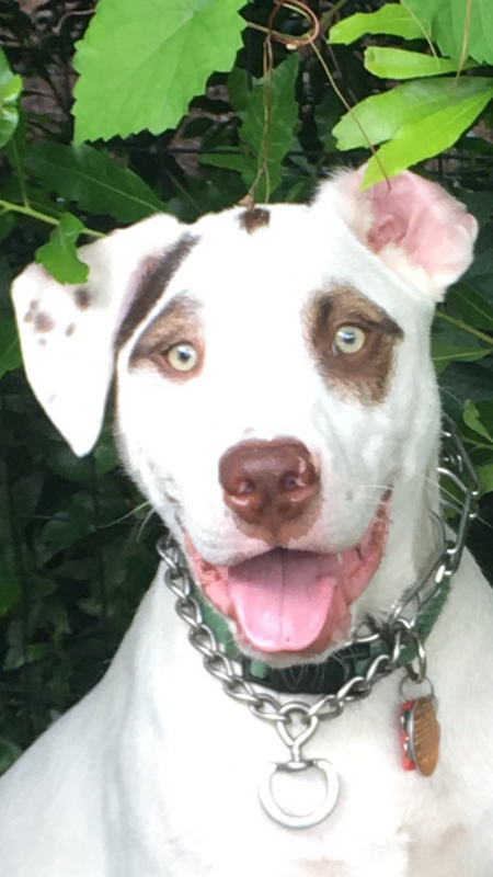 Entry image for Moya. Clicking this image will show a larger photo