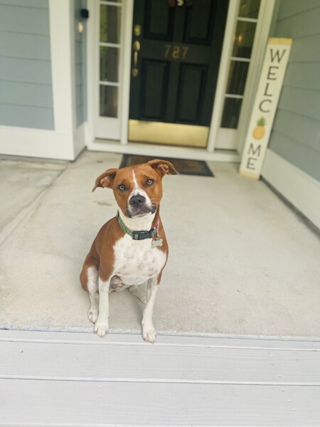 Entry image for Emmie . Clicking this image will show a larger photo