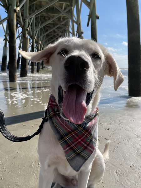 Entry image for Folly. Clicking this image will show a larger photo