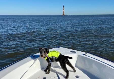 Entry image for Charlie. Clicking this image will show a larger photo