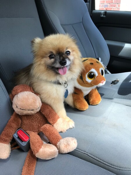 Entry image for Jay. Clicking this image will show a larger photo