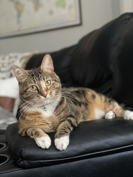 Entry image for April. Clicking this image will show a larger photo