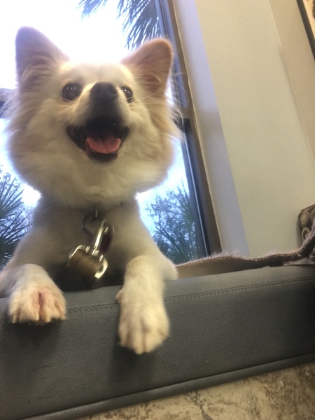 Entry image for Princess . Clicking this image will show a larger photo