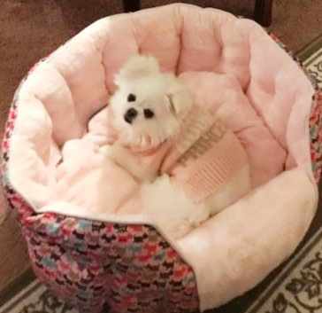 Entry image for Alexis. Clicking this image will show a larger photo