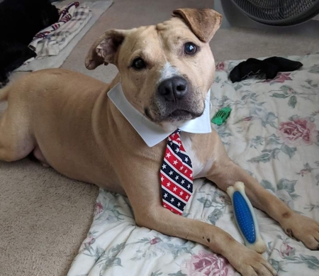 Entry image for King. Clicking this image will show a larger photo