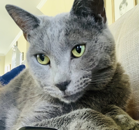 Entry image for Timmy. Clicking this image will show a larger photo