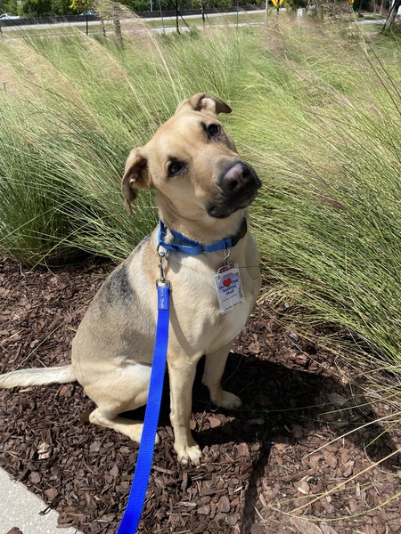 Entry image for Ty. Clicking this image will show a larger photo