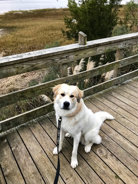 Entry image for Odin. Clicking this image will show a larger photo