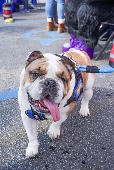 Entry image for Donovan. Clicking this image will show a larger photo