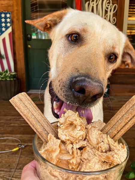 Entry image for Rufus . Clicking this image will show a larger photo