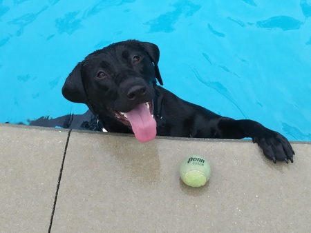 Entry image for Hinckley. Clicking this image will show a larger photo