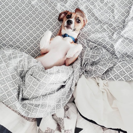 Entry image for Professor Lupin. Clicking this image will show a larger photo