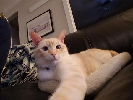 Entry image for Axle. Clicking this image will show a larger photo