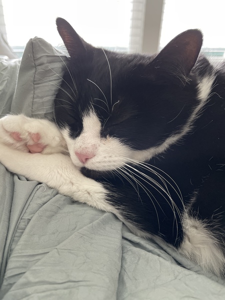 Entry image for Phil. Clicking this image will show a larger photo