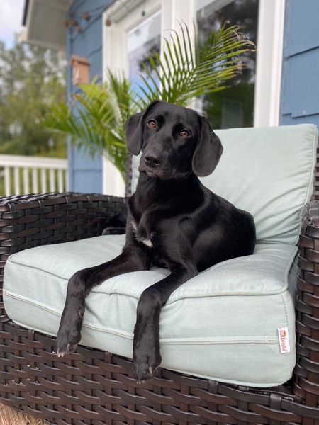 Entry image for Mighty Anyu . Clicking this image will show a larger photo