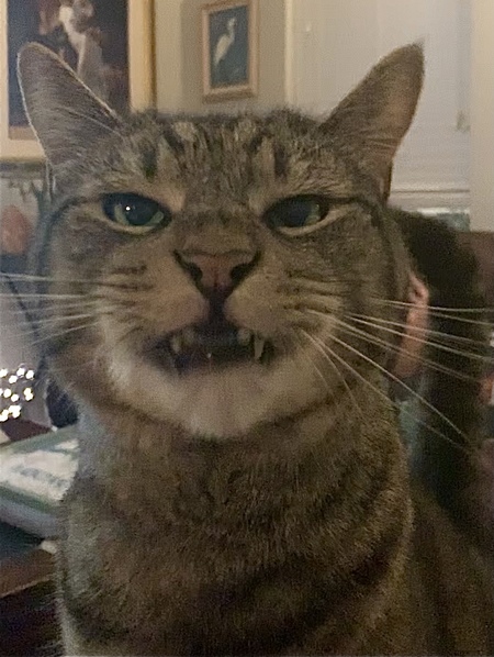 Entry image for Kristoph. Clicking this image will show a larger photo