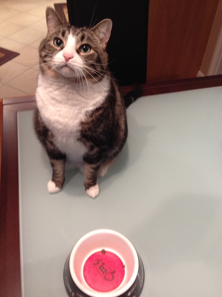 Entry image for Fillmore. Clicking this image will show a larger photo