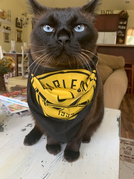 Entry image for Alberto. Clicking this image will show a larger photo