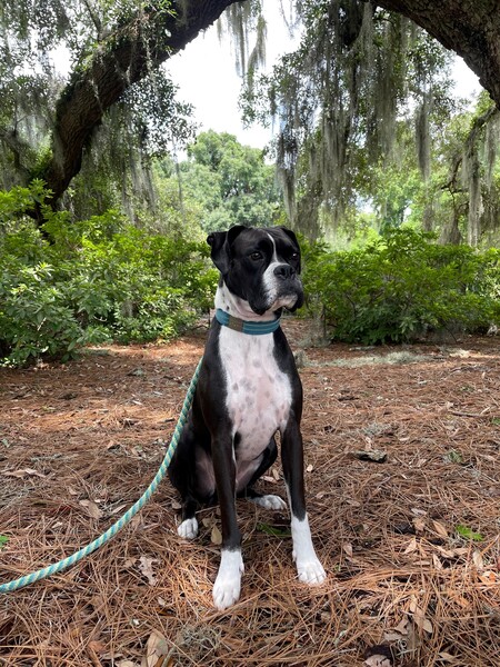 Entry image for Marlo. Clicking this image will show a larger photo