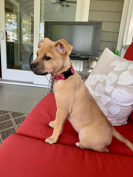 Entry image for Charley Grace. Clicking this image will show a larger photo