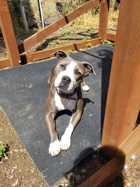 Entry image for Jenny. Clicking this image will show a larger photo