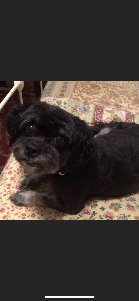 Entry image for Jessie. Clicking this image will show a larger photo