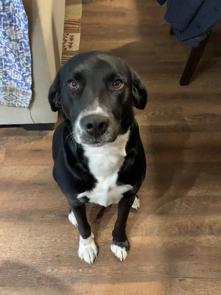 Entry image for Squiggy. Clicking this image will show a larger photo