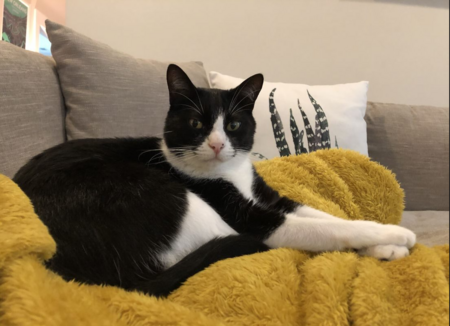 Entry image for Maxwell Smith. Clicking this image will show a larger photo