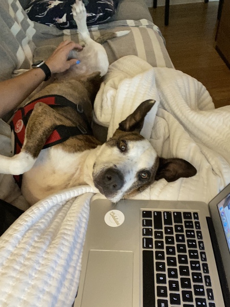 Entry image for Edison . Clicking this image will show a larger photo