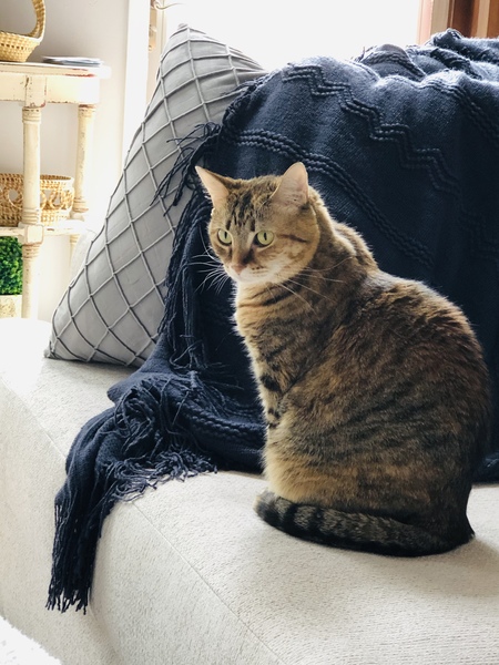 Entry image for Maxi. Clicking this image will show a larger photo