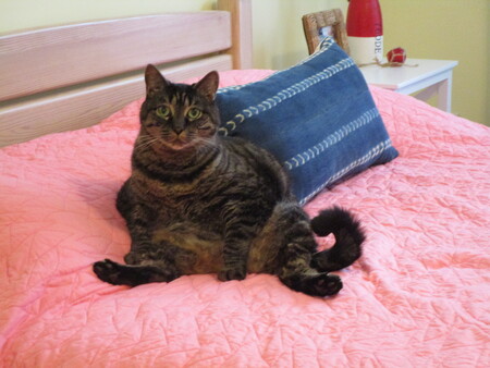 Entry image for Jack. Clicking this image will show a larger photo