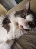 Entry image for Carl. Clicking this image will show a larger photo