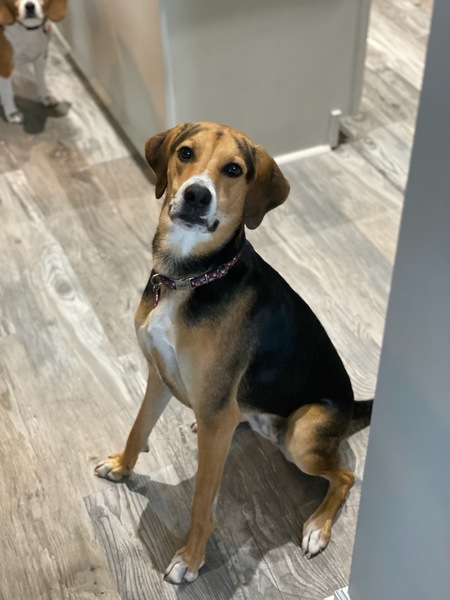 Entry image for Lexi. Clicking this image will show a larger photo