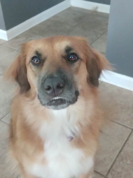 Entry image for Lady. Clicking this image will show a larger photo