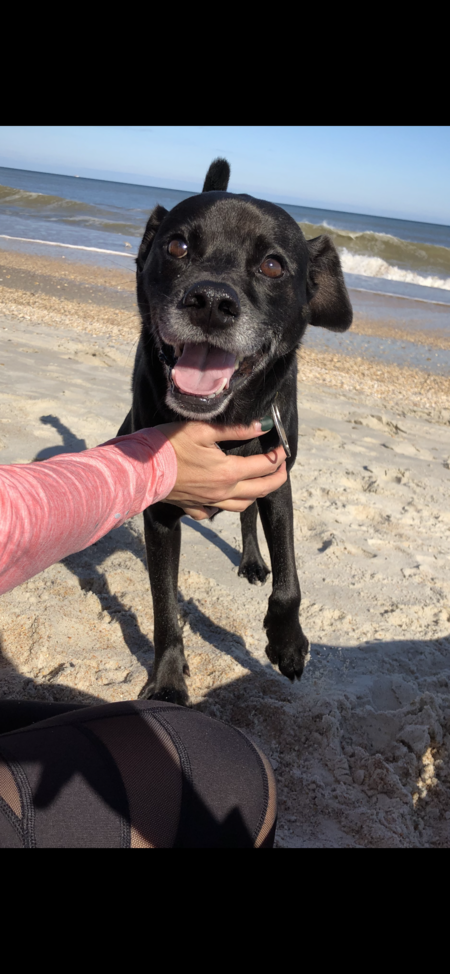 Entry image for Cooper Kirkpatrick. Clicking this image will show a larger photo