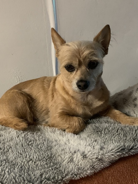 Entry image for Mike. Clicking this image will show a larger photo