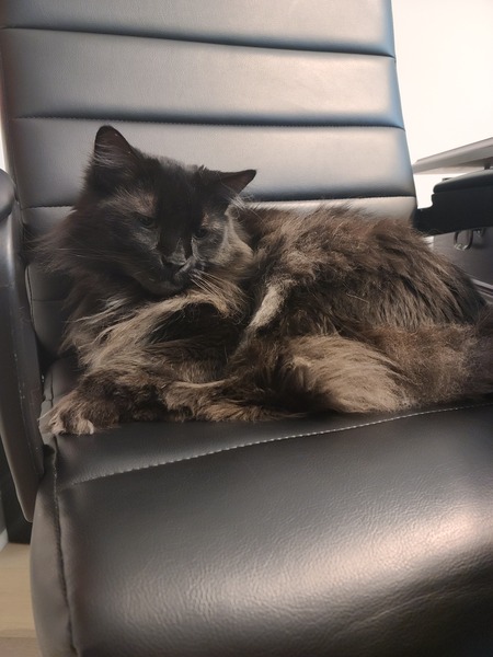 Entry image for Richard . Clicking this image will show a larger photo