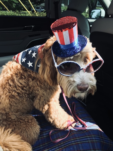 Entry image for Tucker. Clicking this image will show a larger photo