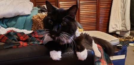 Entry image for Flower. Clicking this image will show a larger photo