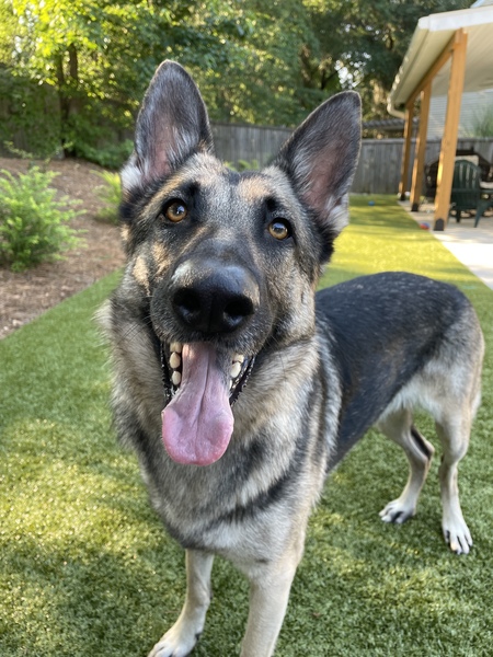 Entry image for Captain. Clicking this image will show a larger photo