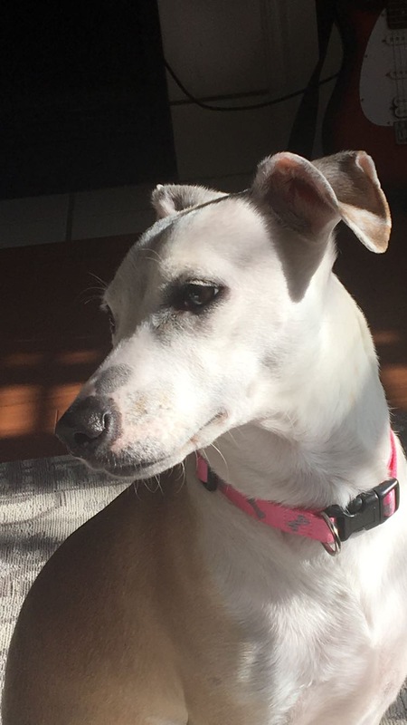 Entry image for Carly. Clicking this image will show a larger photo