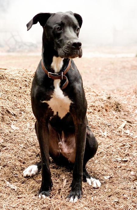 Entry image for Nashville. Clicking this image will show a larger photo