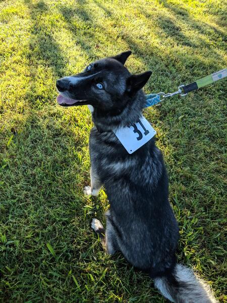 Entry image for Kita. Clicking this image will show a larger photo