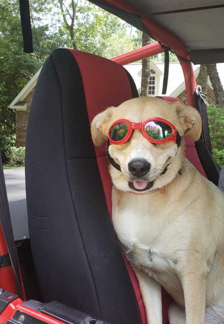 Entry image for Elly May. Clicking this image will show a larger photo